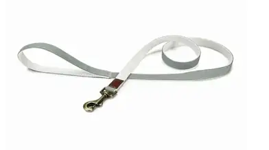Beeztees Поводок для собак нейлоновый Virante мятный