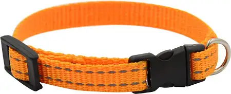 Купить zooexpress fresh line ошейник капрон, светоотражающая нить, фастекс для собак, апельсиновый
